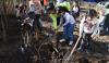 Micro-forêt, maxi-fraîcheur dans la rue Lavoisier